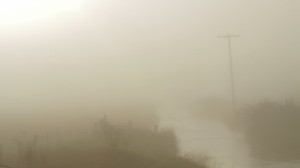 Foggy Stream Foggy Stream